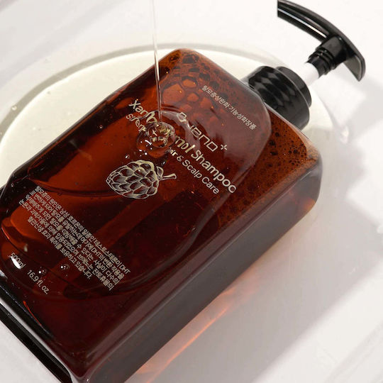 Balancing Shampoo Haarwachstum Stärkung Xanthohumol 500ml