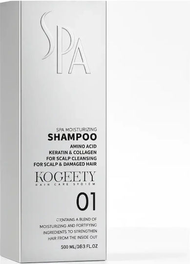 Shampoos Glanz für Beschädigt Haare 500ml