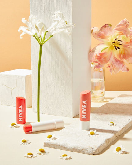 Nivea Peach Shine Lip Balm Peach Shine 4.8gr