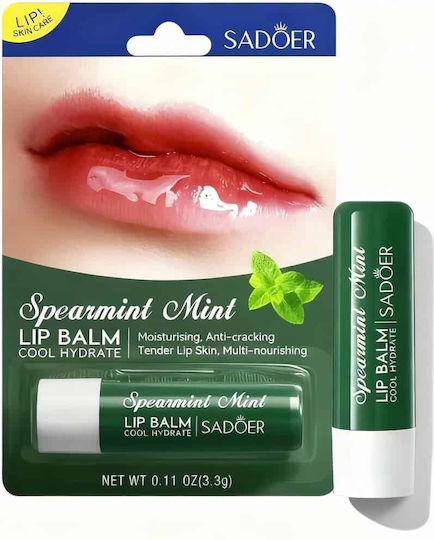Mint Lip Balm