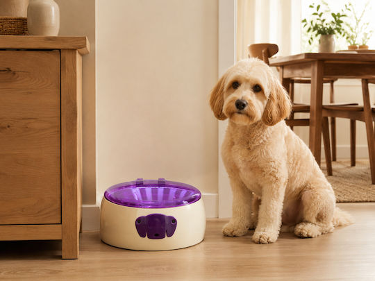 MRShome Automatic Dog Feeder 900ml 20x23x9.5cm