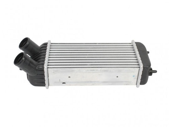 Intercooler Fiat Scudo Citroen Jumpy Ii 0384k4