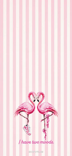 Sonique Stripe Stories Series Handyhülle Honor Magic6 Pro 5G Flamingo