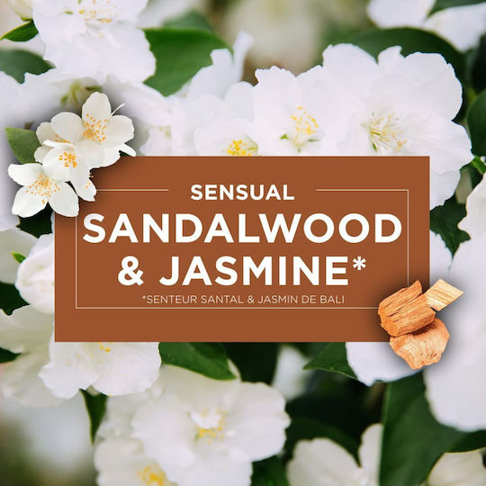 Raumdüfte Spray Sandelholz & Jasmin Nachfüllung 2x269ml