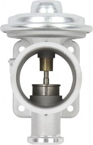 Loro EGR-Ventil Für BMW 3 5 7 X3 11717789999