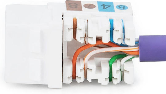 Digitus Netzwerk-Schlüsselsteine DN-93601 RJ45 1 Stück