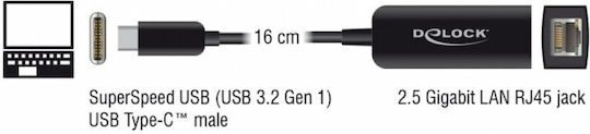 DeLock 66645 USB-C Network Adapter with Wired Ethernet Connection
