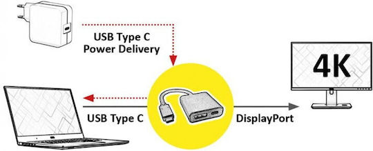 Προσαρμογέας Av Roline Roline Display Adapter Usb Τύπου C Displayport V1.2 + Pd