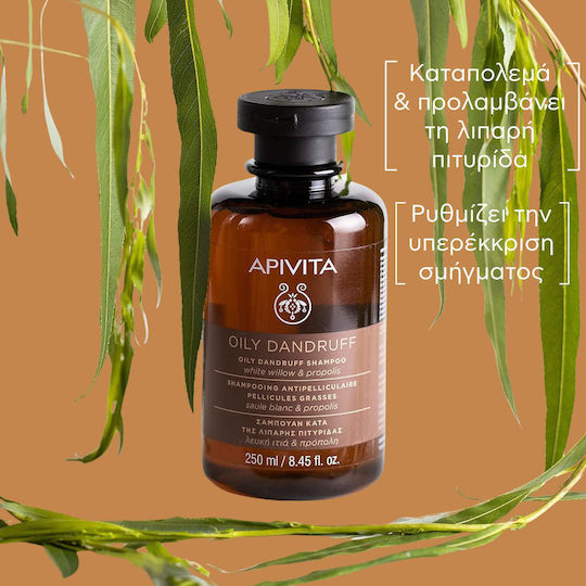 Apivita Oily Dandruff White Willow & Propolis Σαμπουάν κατά της Πιτυρίδας για Λιπαρά Μαλλιά 250ml