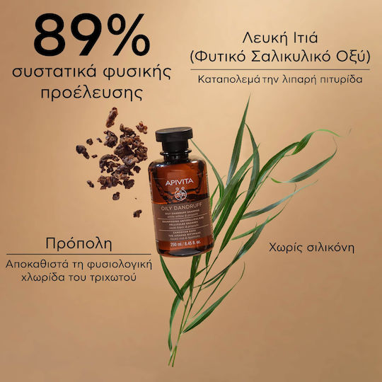 Apivita Oily Dandruff White Willow & Propolis Σαμπουάν κατά της Πιτυρίδας για Λιπαρά Μαλλιά 250ml