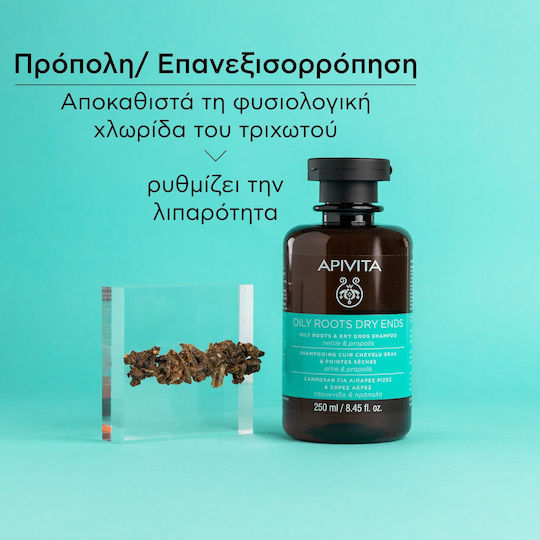 Apivita Rădăcini Grase și Vârfuri Uscate Nettle & Propolis Sampon de Reconstrucție/Hrană & Hidratare pentru Păr Gras 250ml