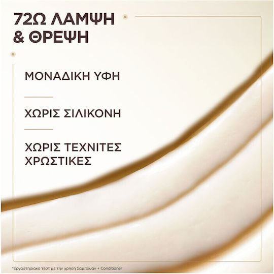 Garnier Botanic Therapy Sampon Strălucire Pentru Păr Vopsit 400ml