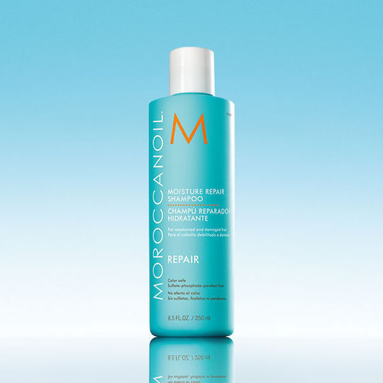 Moroccanoil Moisture Repair Shampoo 250 ml