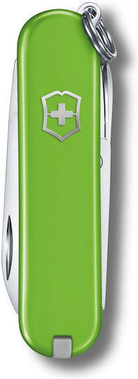 Victorinox Classic Sd Schweizer Armee-Messer 5 Werkzeuge Grünes