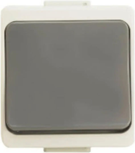 Timex Wasserdicht Wandschalter Einweg Gray