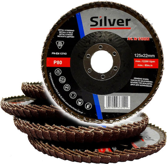 Silver Star Schleifscheibe P 80