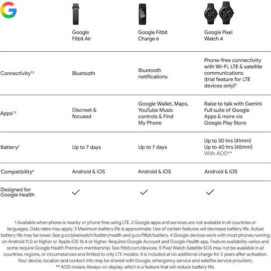 Google Fitbit Air Berry
