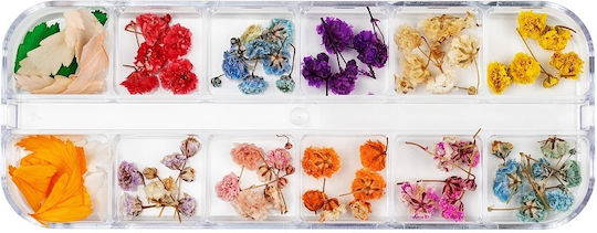 Luxorise Dried Nail Flowers Rainbow Bloom 12 Designs