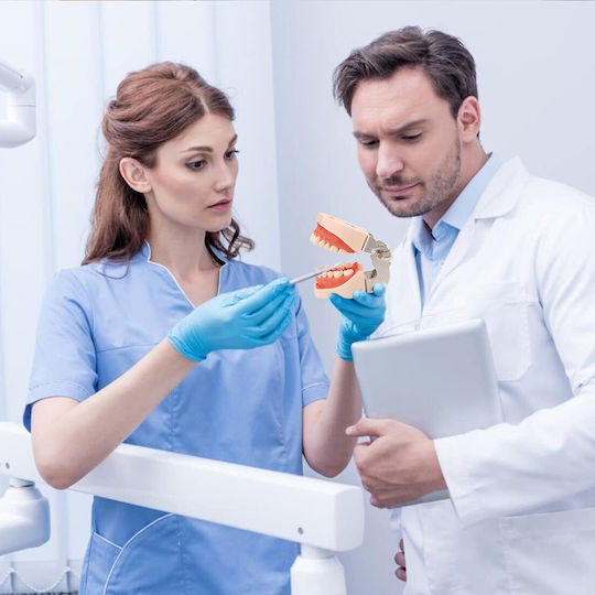 Manechin De Antrenament Medical