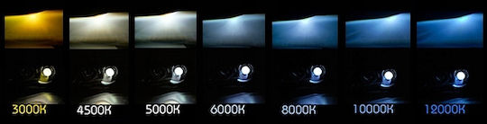 D1s Xenon Bulb Ksenon 6000k Plus 100%