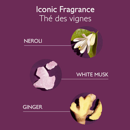 Caudalie Gentle Conditioning Шампоан за Чувствителен Скалп за Оцветена Коса 200ml