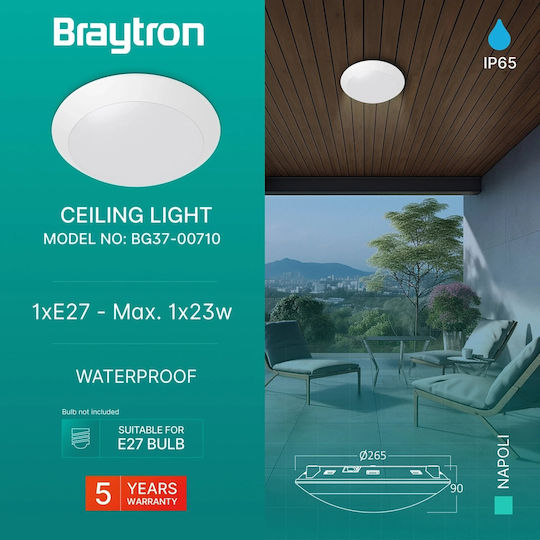 Braytron Наполи Стенна Външна Таванна Лампа E27 IP65