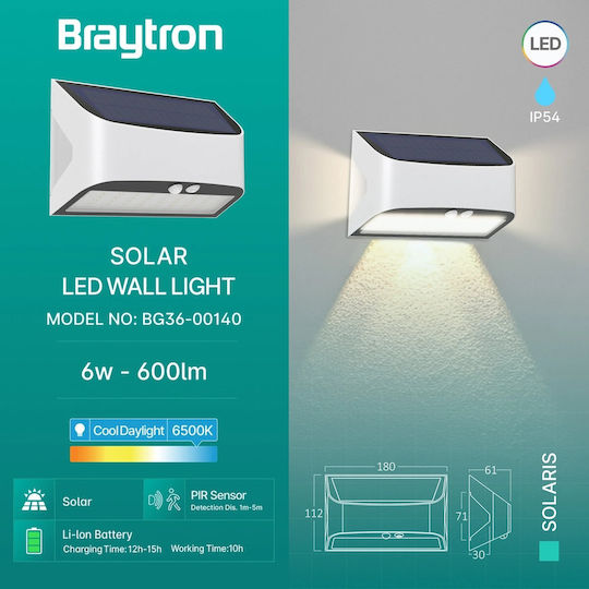 Braytron Стенно Външно Осветително Тяло LED IP54 6W с Студено бяло Светлина