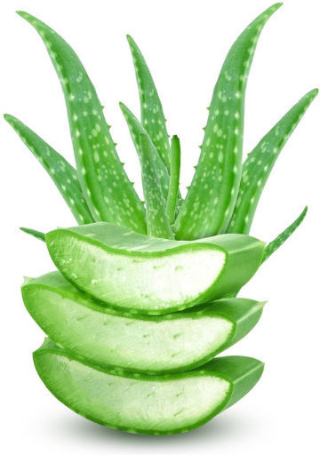 Urtekram Aloe Vera Shampoos Reconstruction/Nourishment & Hydration for Normal Hair 250ml