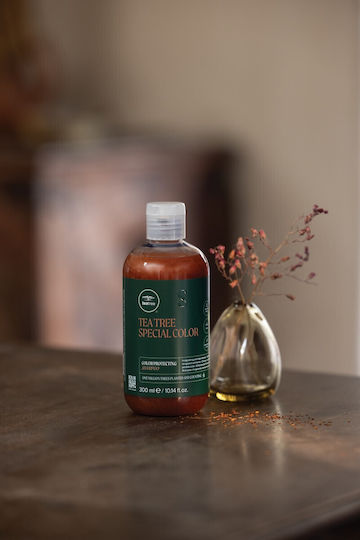 Paul Mitchell Tea Tree Tea Tree Special Σαμπουάν Διατήρησης Χρώματος για Βαμμένα Μαλλιά 300ml