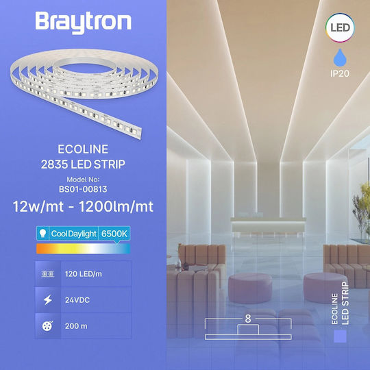 Braytron LED Strip 24V Cold White Light