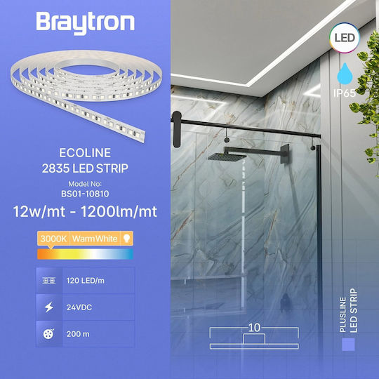 Braytron LED Strip 24V Warm White Light Type SMD2835