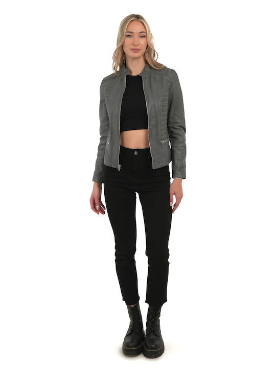 Chic & Clicks