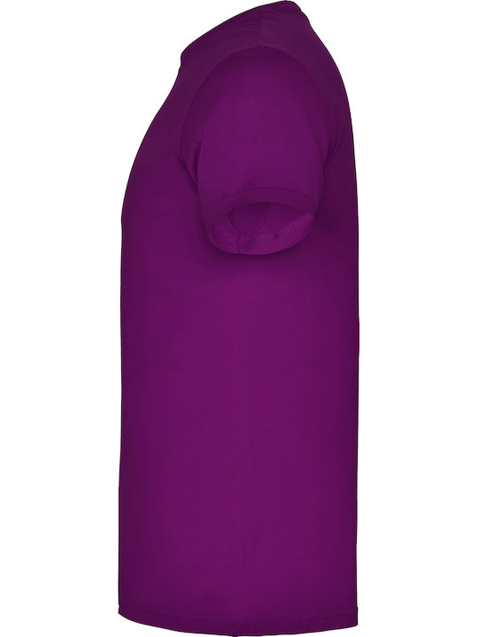 Roly 6554 Roly 6554