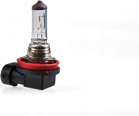 M-Tech Крушка за автомобил H11 Халогенна 12V 55W