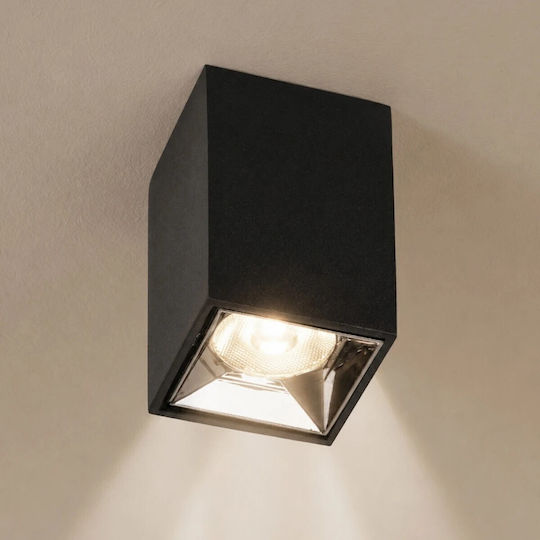 kelvo Spot Led Alb Cald Cu 10 Lumini În Culoare Albă