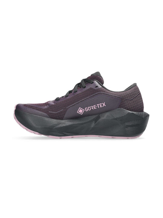 ASICS Novablast 6 Gtx Γυναικεία Running Gore-Tex Μωβ