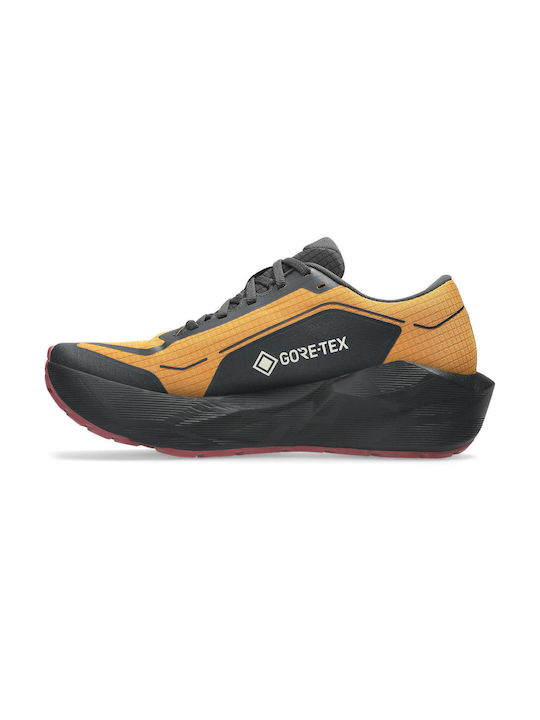 ASICS Novablast 6 Gtx Ανδρικά Running Gore-Tex Brw