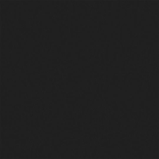 vidaXL Sofa-Kissen Heerlen aus Samt Schwarz 50x70cm