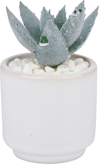Artificial Potted Plant Φ6x10 Articasa 871125233552 Random Design Selection Φ6x10 Ceramic