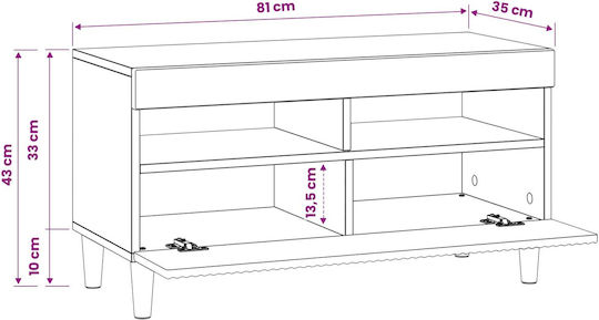 TV-Ständer mit LED-Beleuchtung Eiche M81xT35xH43cm