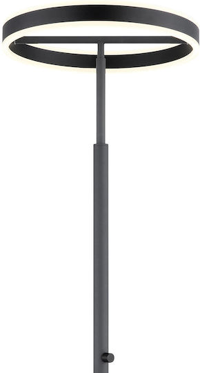 Globo Lighting Подова лампа Сив