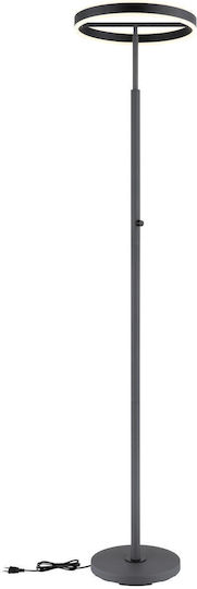 Globo Lighting Подова лампа Сив