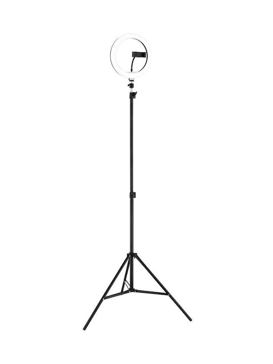 Globo Lighting Подова лампа Черна