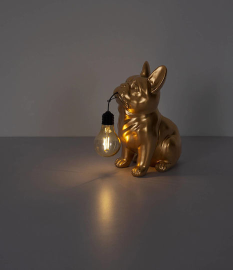Globo Lighting Solar Light with Warm White Light 3000K