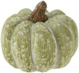 Pumpkin 20cm