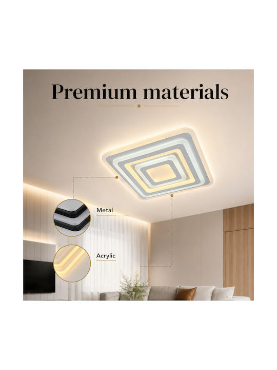Lightplanet Ceiling Mount Light with Integrated LED