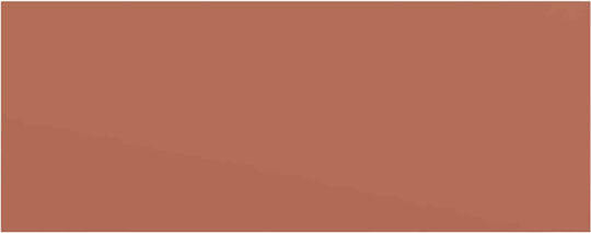 Red Wall Shelves 4 Pieces 50x23x4cm