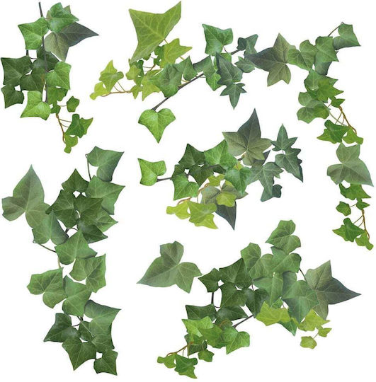 Decorative Sticker Wall Ivy Vinyl 1pcs Ango