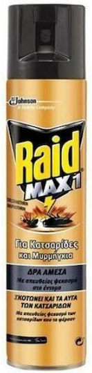 Raid Insektizid Spray für Ameisen / Kakerlaken 300ml 1cm