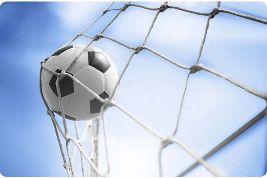 NEO Sport Poartă de fotbal 300x200x90cm